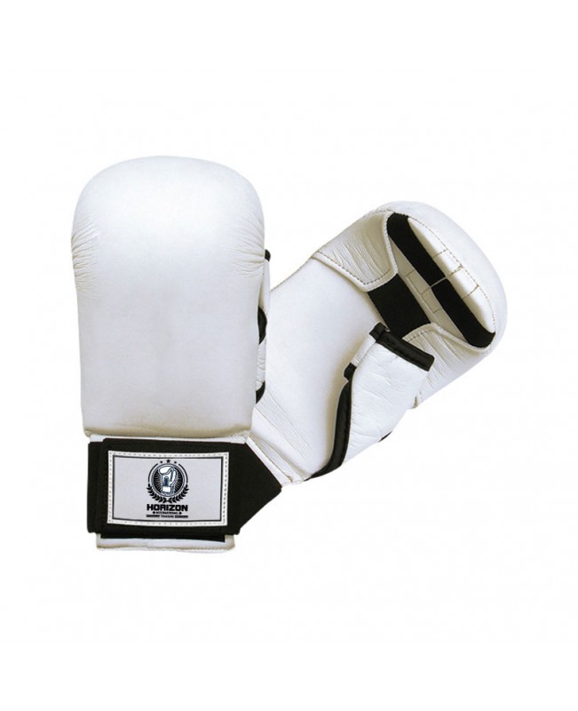 Karate Gloves