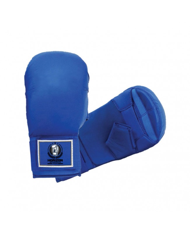 Karate Gloves