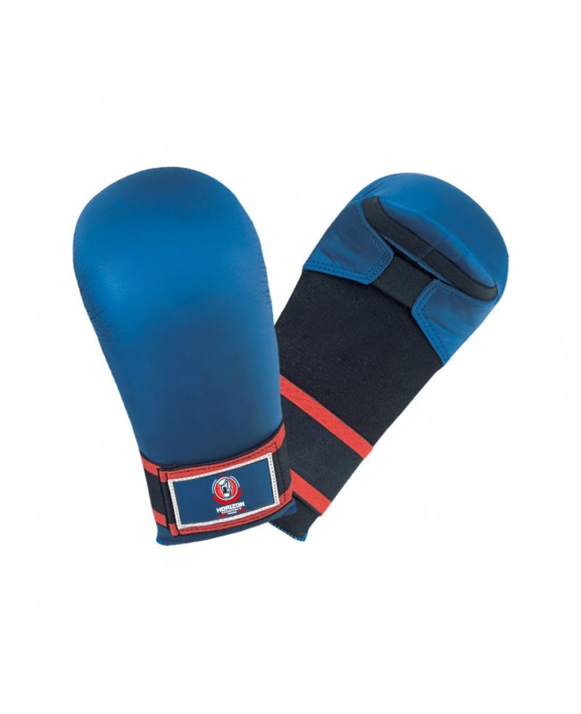 Karate Gloves