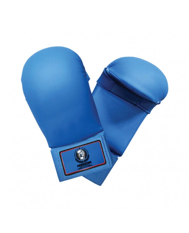 Karate Gloves